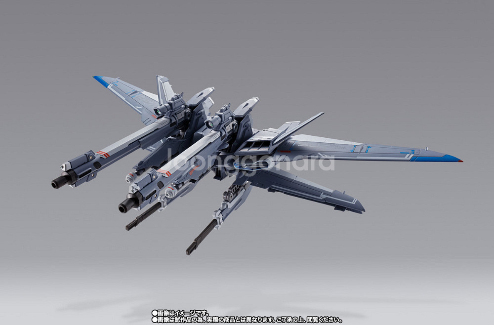 프반 혼웹한정 메탈빌드 I.W.S.P.(IWSP)--2