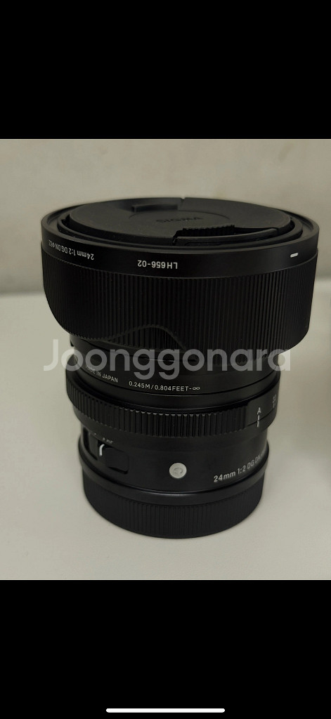 시그마 24mm F2 DG DN 렌즈 L마운트--1