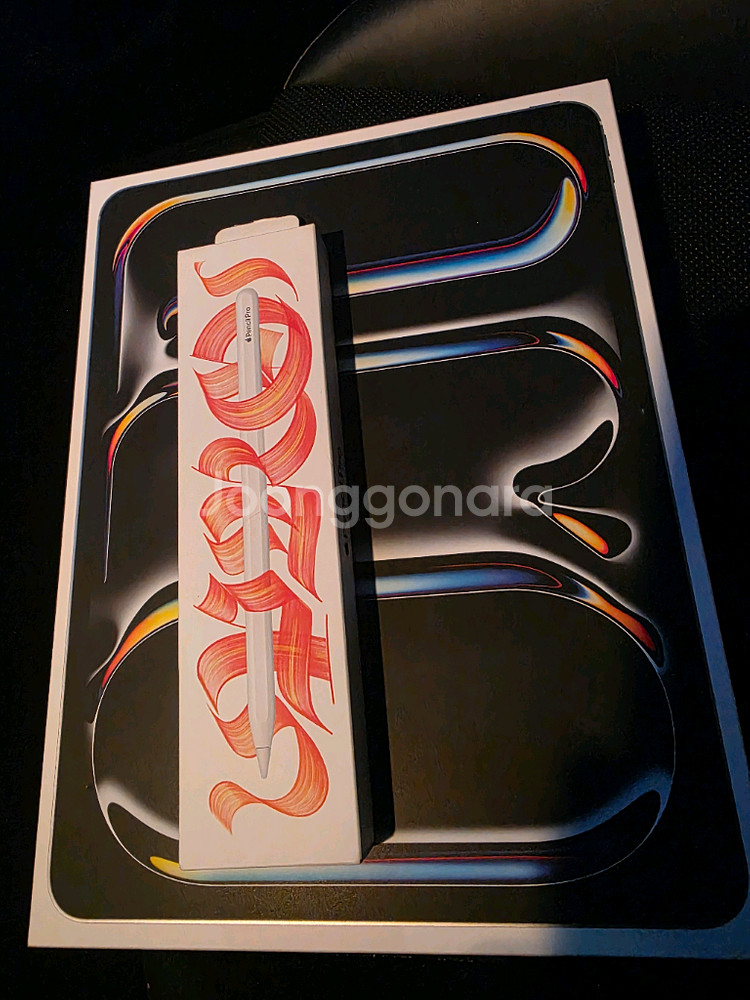 아이패드 프로 13인치 M4 셀룰러 256GB 애케플--0