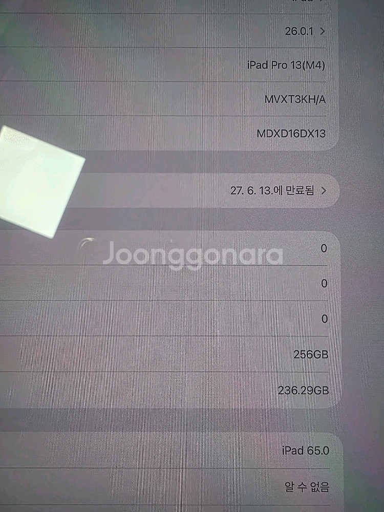 아이패드 프로 13인치 M4 셀룰러 256GB 애케플--2