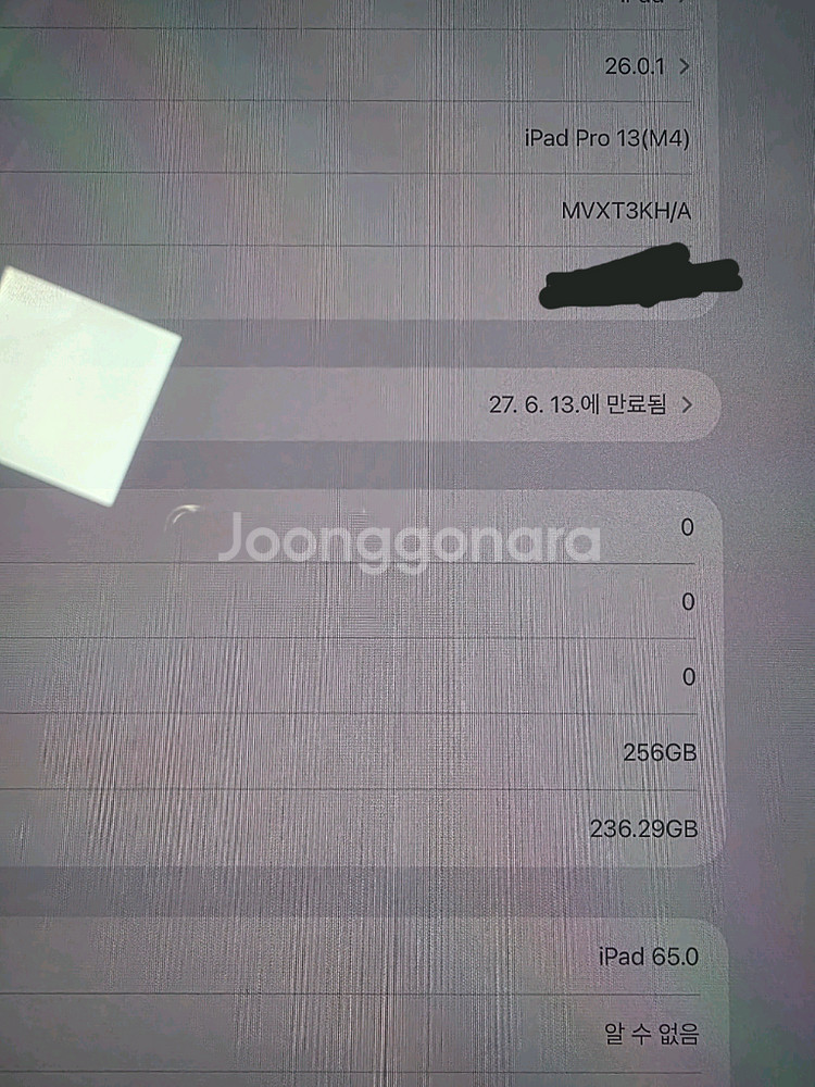 아이패드 프로 13인치 M4 셀룰러 256GB 애케플--8