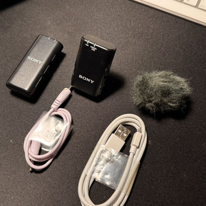 소니 ECM-W2BT 무선 마이크 판매