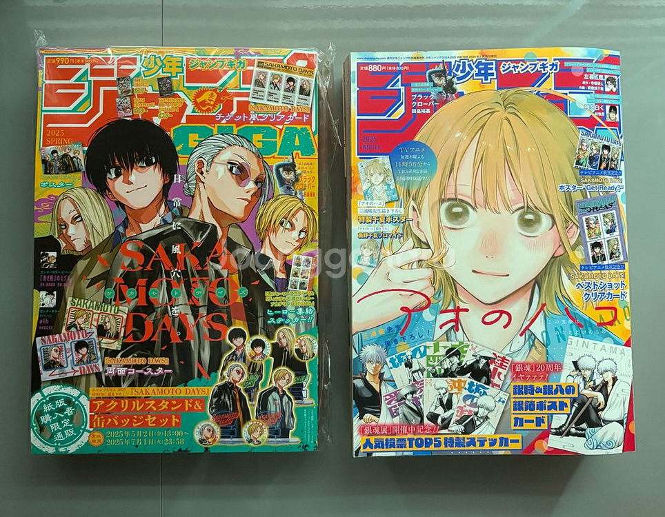 2025 기가점프 스프링,윈터 일괄 사카데이나히아히로아카--0