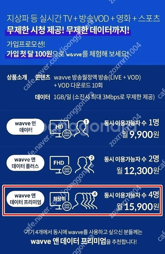 웨이브 프리미엄 파티원 5개월 (PC앞 대기중~즉시 전송/3년째 유지중)--1
