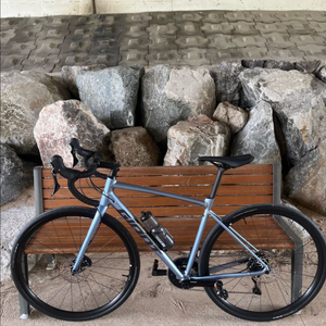 자이언트 컨텐드 ar1 판매