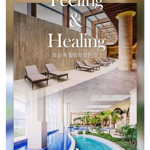 아쿠아필드 찜질스파 대인2소인2