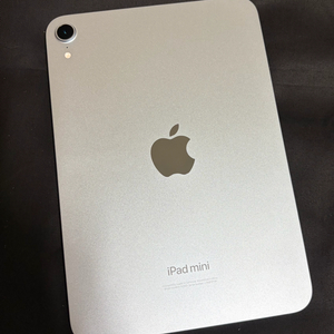 아이패드 미니 7 256 WiFi 블루 애케플