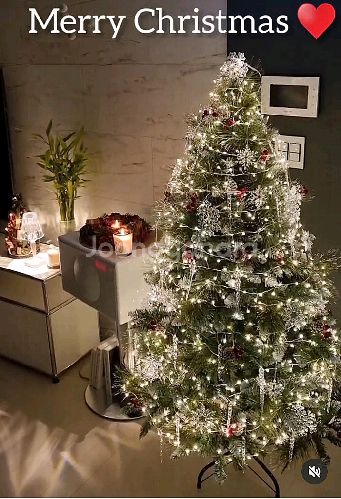 눈꽃트리 150~160cm+지네전구 5ea 판매합니다--4