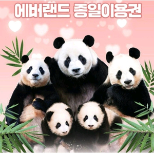 에버랜드 종일 이용권[최저가]11월 16일까지