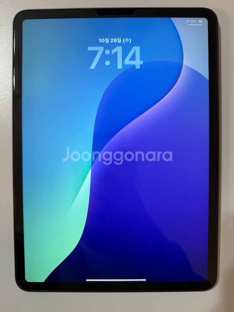 아이패드프로 11인치 3세대--0