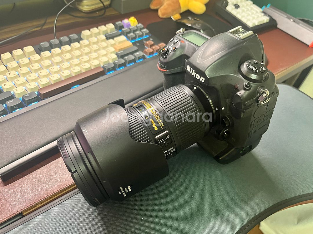 니콘 D5(CF) + AF-S NIKKOR 24-70mm f/2.8E ED VR--0