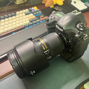 니콘 D5(CF) + AF-S NIKKOR 24-70mm f/2.8E ED VR