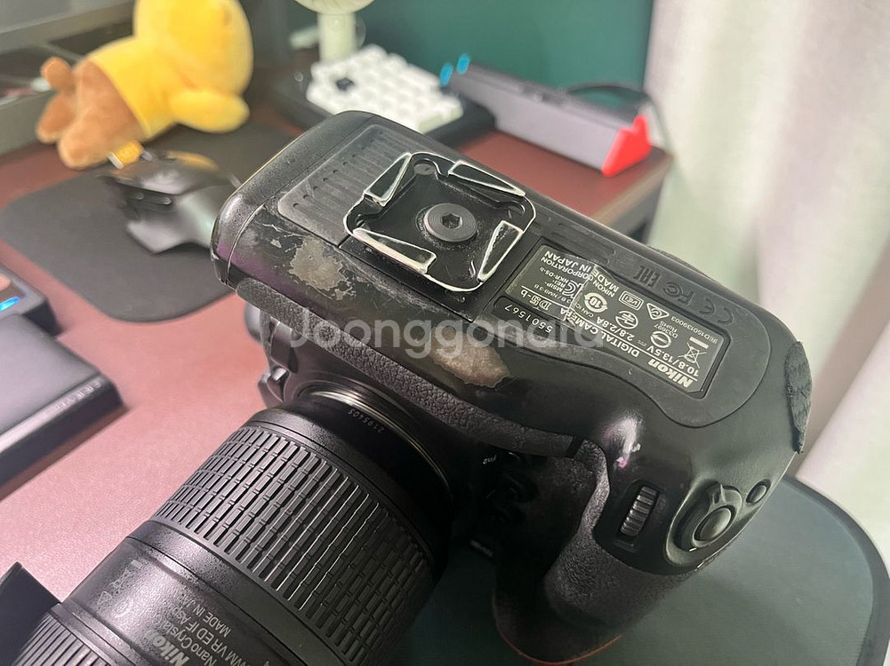 니콘 D5(CF) + AF-S NIKKOR 24-70mm f/2.8E ED VR--2