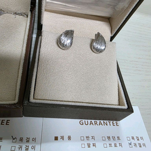 비체 셀레라 귀걸이