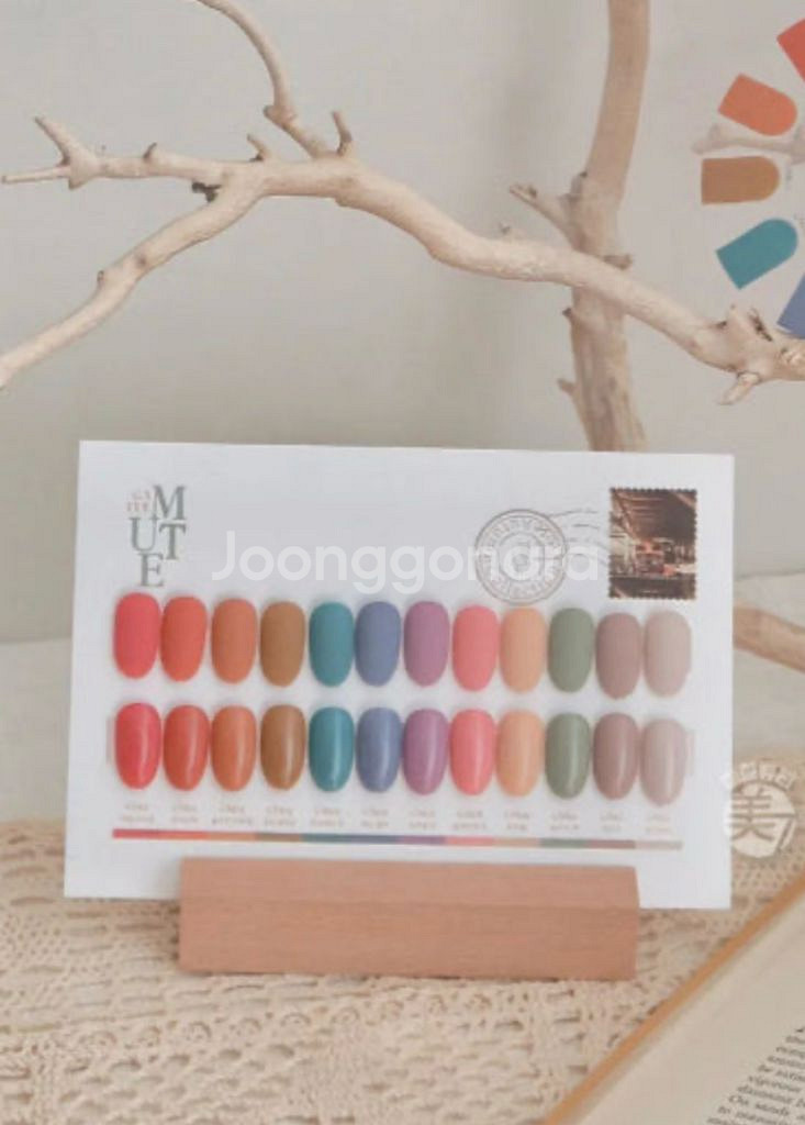 피오떼 가을뮤트 18종 세트--1