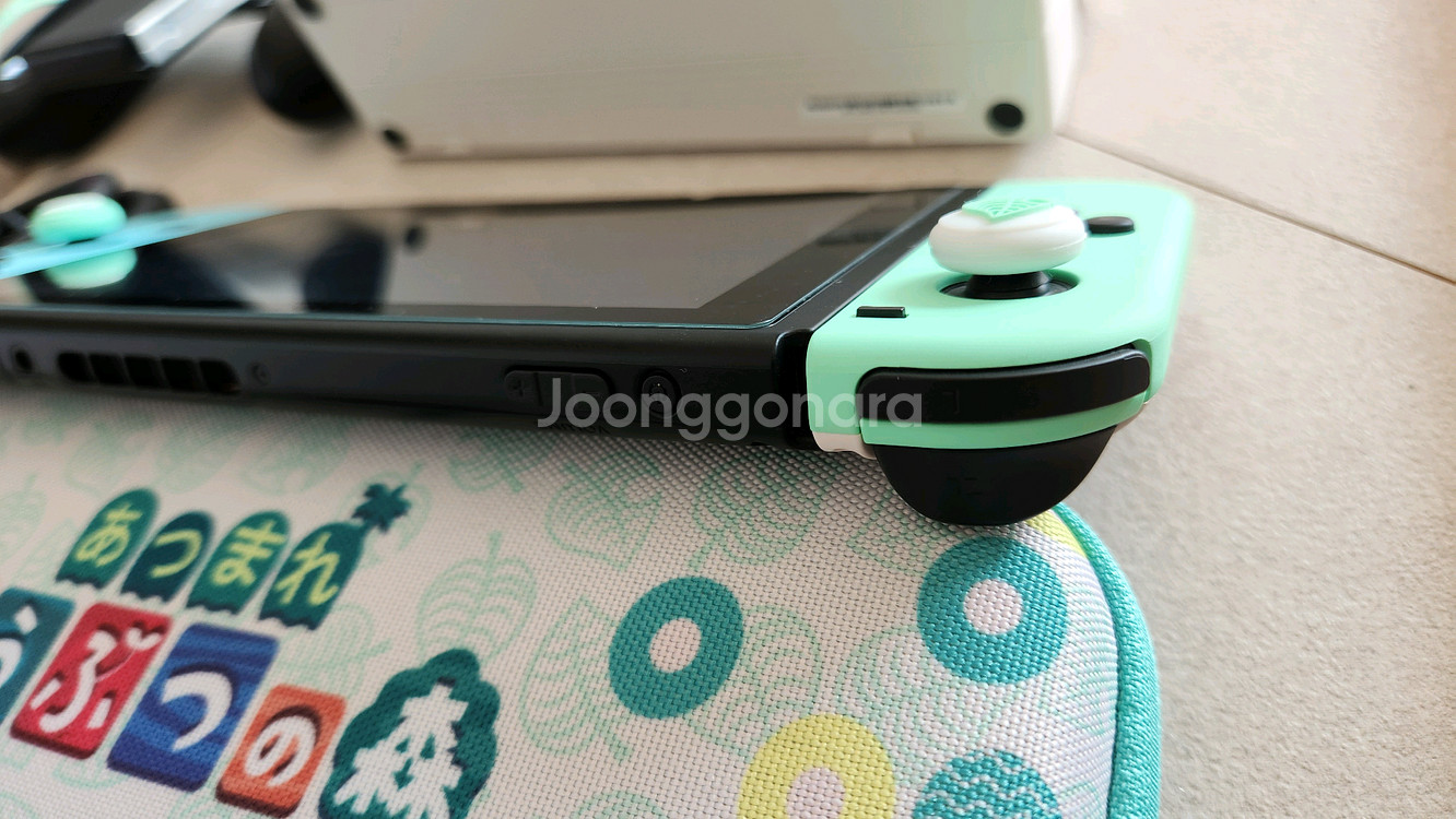 닌텐도 스위치 동물의숲버젼--7