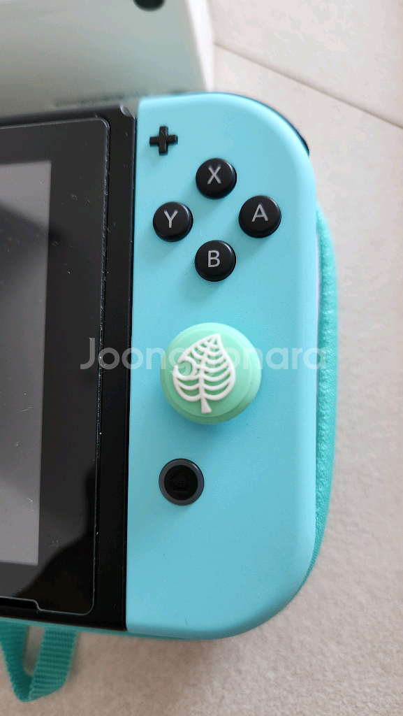 닌텐도 스위치 동물의숲버젼--4