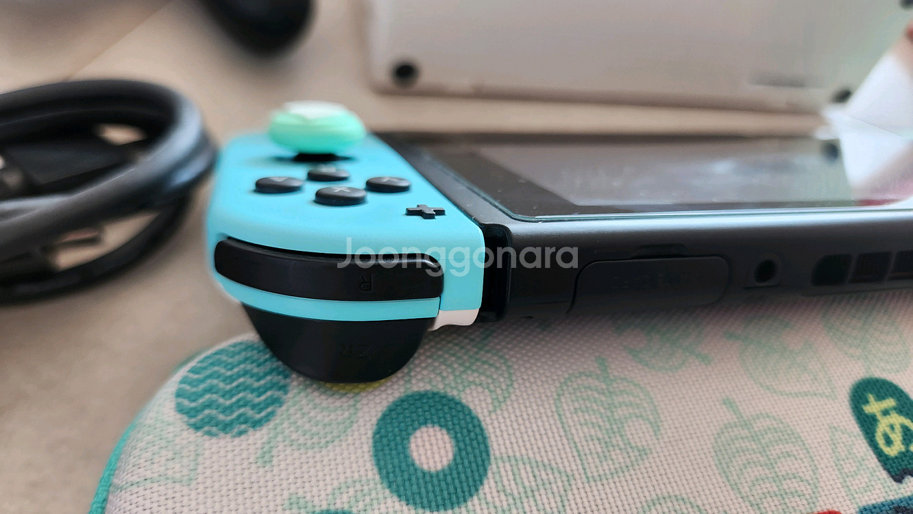 닌텐도 스위치 동물의숲버젼--8