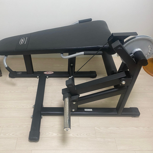 바디엑스 소가 레그익스텐션 컬 머신