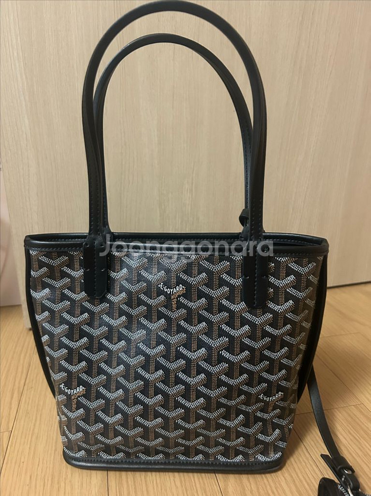 고야드 미니 앙주--0