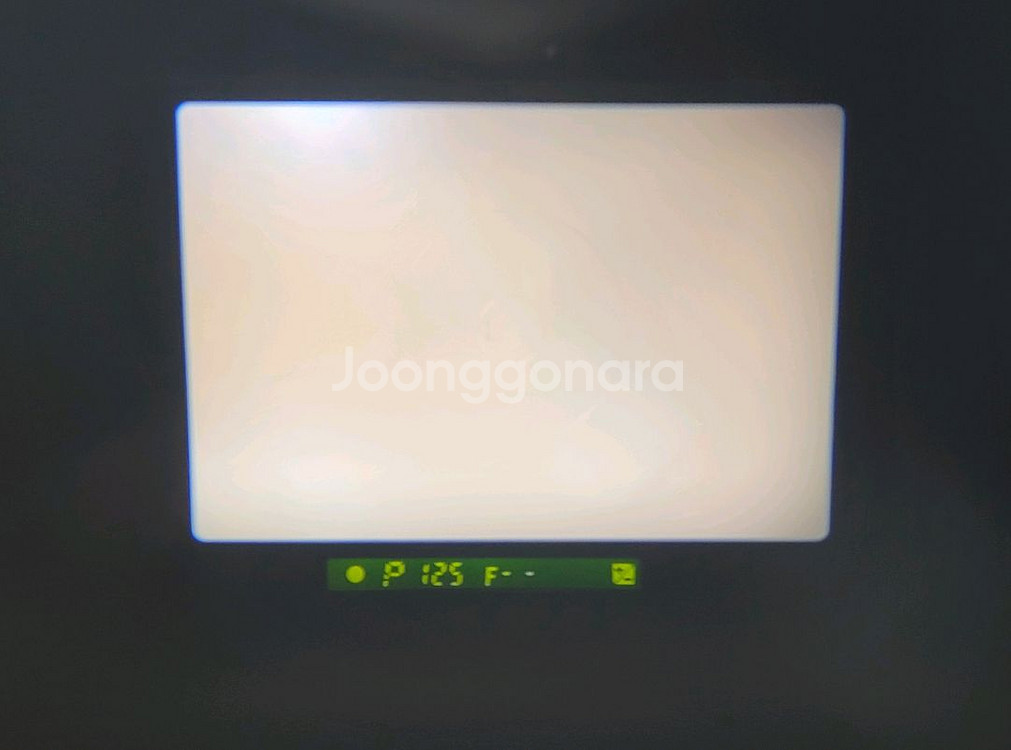 니콘 F601 필름카메라--7