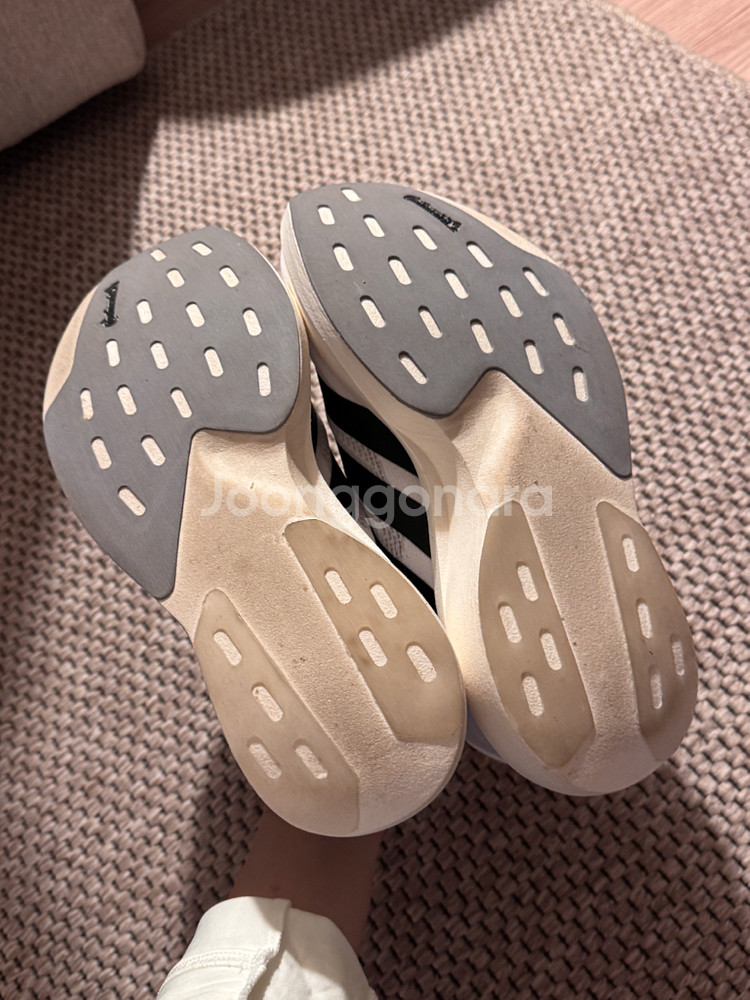 아디다스 아디제로 EVO SL 러닝화 에보슬 245mm--2