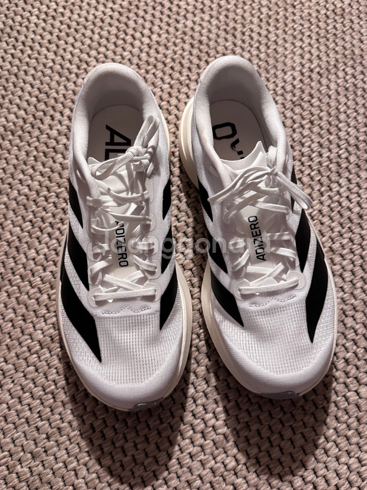 아디다스 아디제로 EVO SL 러닝화 에보슬 245mm--1