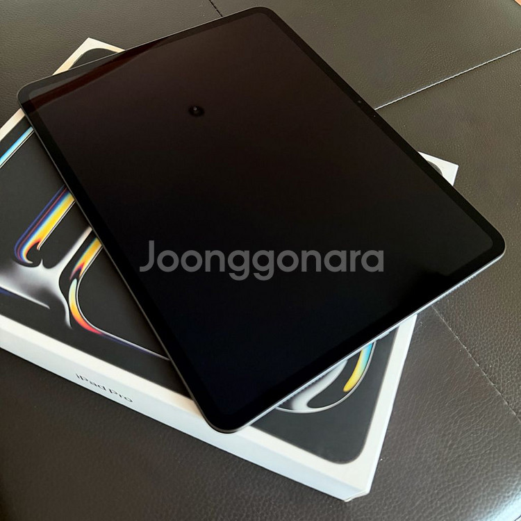 아이패드 프로 13인치 M4 256gb wifi + 애케플--0