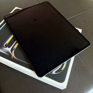 아이패드 프로 13인치 M4 256gb wifi + 애케플