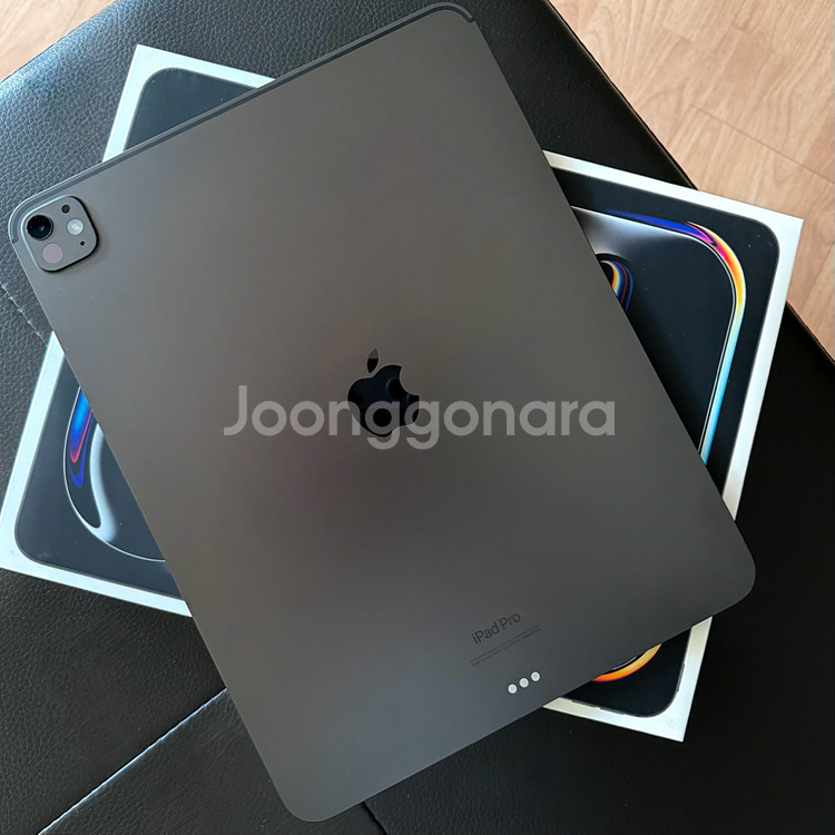아이패드 프로 13인치 M4 256gb wifi + 애케플--4