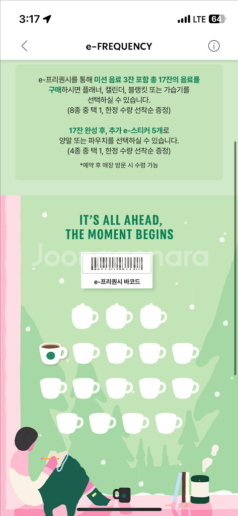 프리퀀시 일반 1개 2900--0