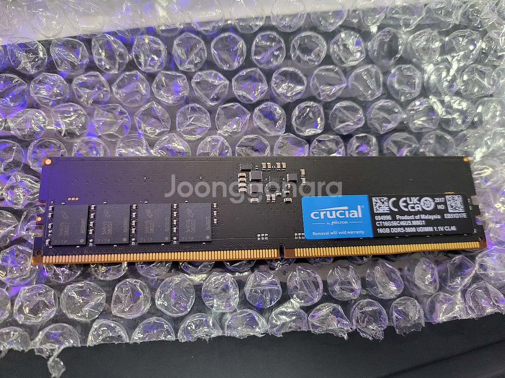 Crucial DDR5 5600 16GB 램--1