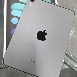 아이패드미니6 셀룰러 효율87프로 스그