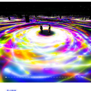 도쿄 팀랩플래닛 입장권 11월 25일 5시 2인 팝니다