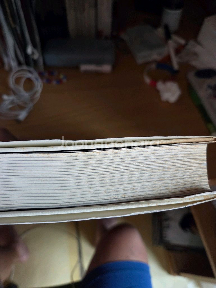 스티븐제라드 에세이--1