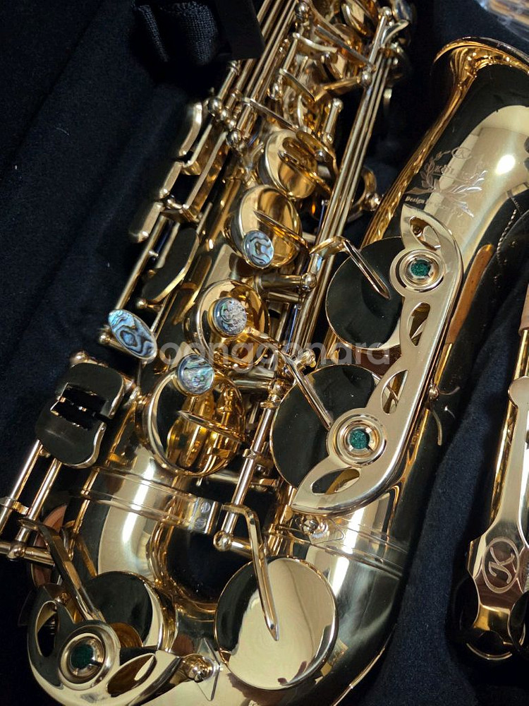 (풀패키지) TJ미디어 DWS-5800 무선 마이크 시스템 + 스피커 + 앰프 + 반주기 + 색소폰 + 연주곡집--8