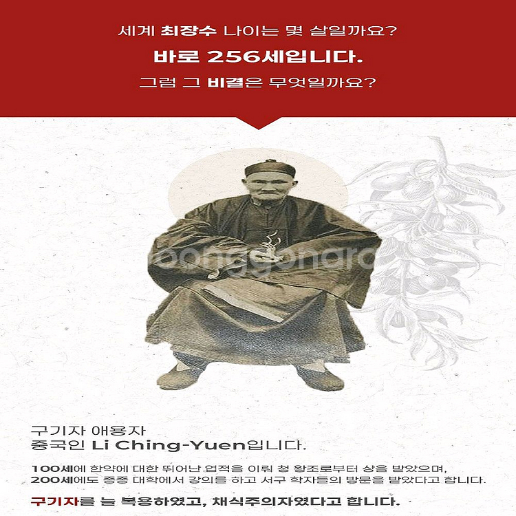 9&9 구증구포 구기자차 1.5g x 10티백--1