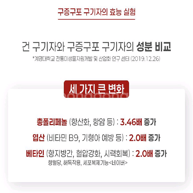 9&9 구증구포 구기자차 1.5g x 10티백--4