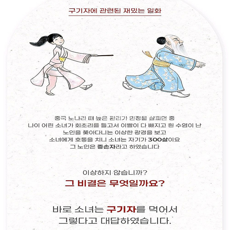 9&9 구증구포 구기자차 1.5g x 10티백--8