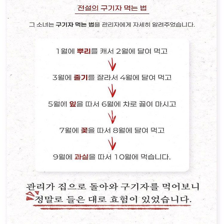 9&9 구증구포 구기자차 1.5g x 10티백--5