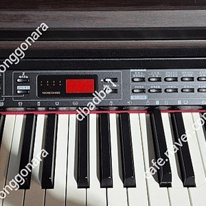 영창 디지털피아노 KW-106N