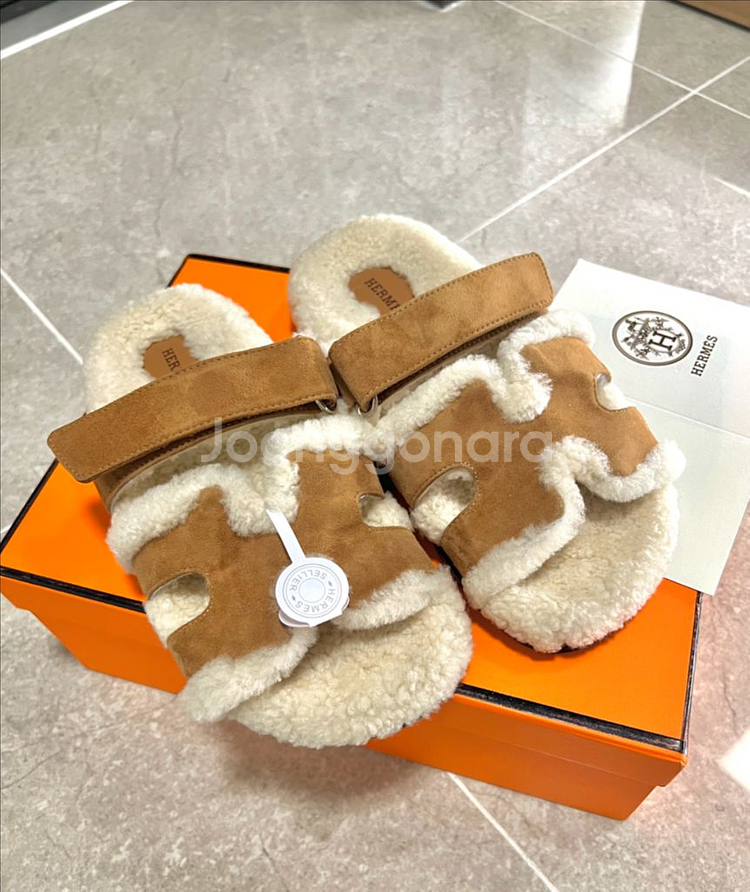 에르 시어링 시프레 240--0