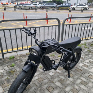 퀄리볼트b 2024 전기자전거 자토바이 (듀얼배터리) 팝니다