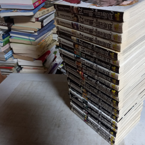 디그레이맨 1~24 총24권 실사진