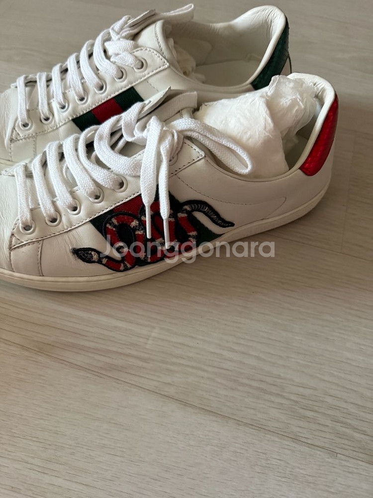 구찌 스니커즈 5 (240)--4