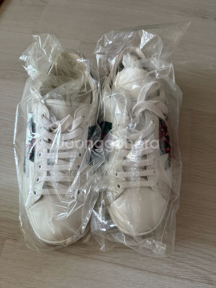 구찌 스니커즈 5 (240)--1