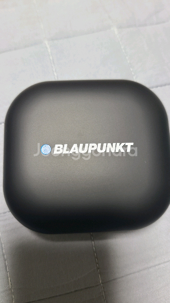 블라우풍트 이어폰--0