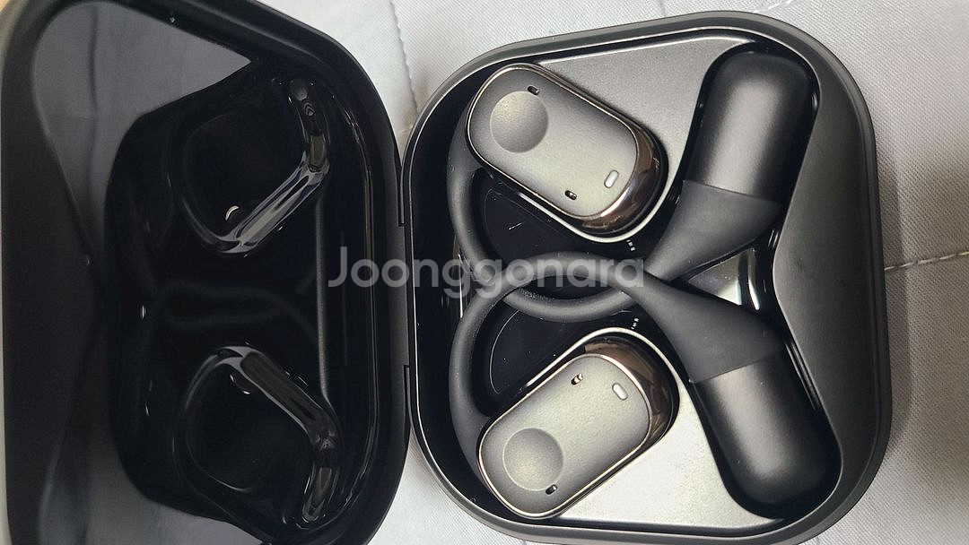 블라우풍트 이어폰--1