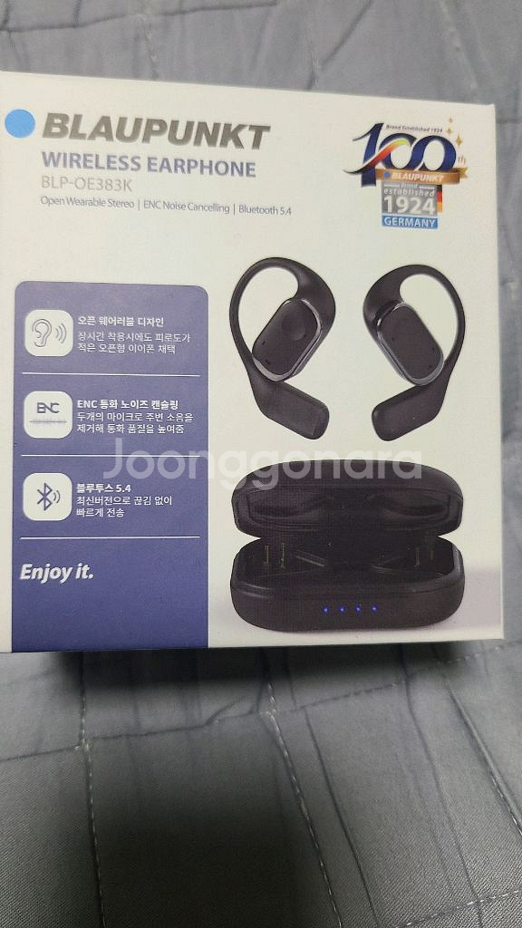 블라우풍트 이어폰--2