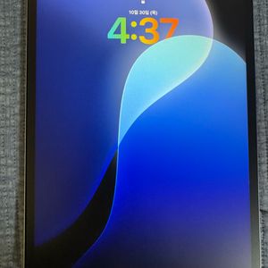 아이패드 프로 12.9인치 WiFi 실버 128GB